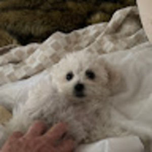 Meet your Posher, Leza